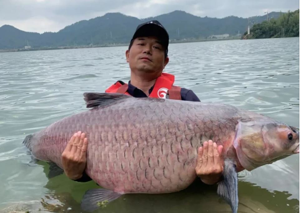 國內(nèi)魚竿企業(yè)哪家強？如果早點知道，你能少花很多冤枉錢